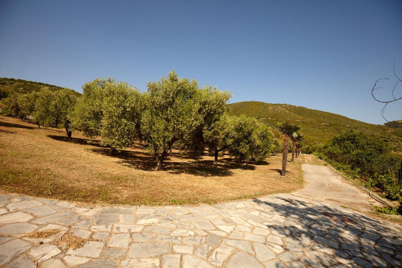 Villa Maria By Rentalspro Services - Ouranoupoli Halkidiki 외부 사진